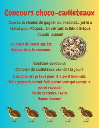 Concours choco cailleteaux